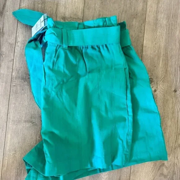 Express Paperbag Waist Belted Shorts – Teal, Size XL – NWT - Picture 4 of 5